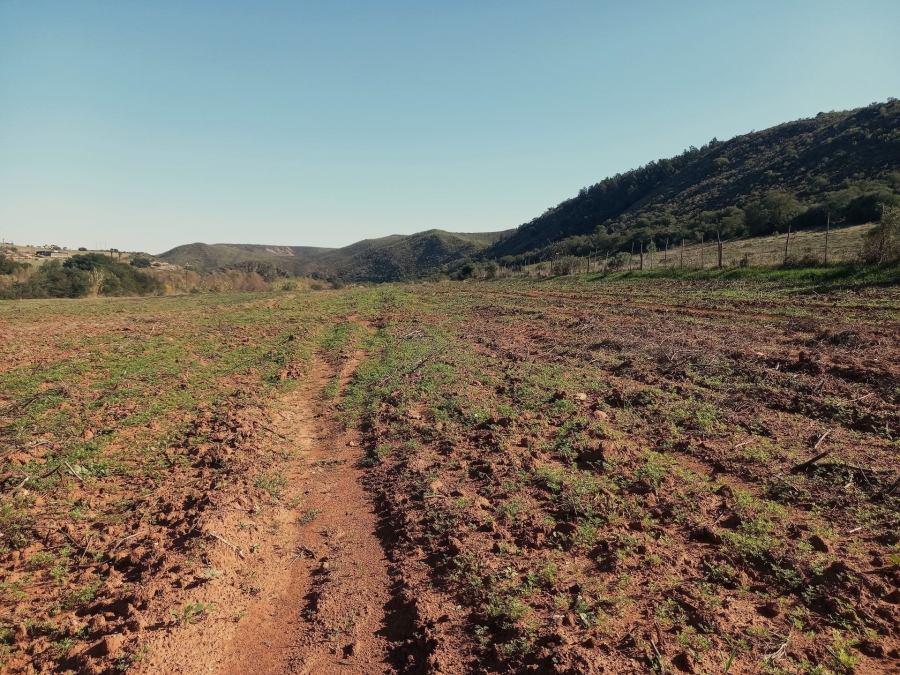 Commercial Property for Sale in George Rural Western Cape